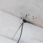 雨漏り